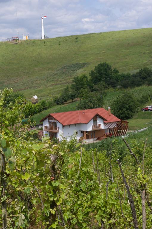 Pensiunea Casa Din VII Seusa Ngoại thất bức ảnh