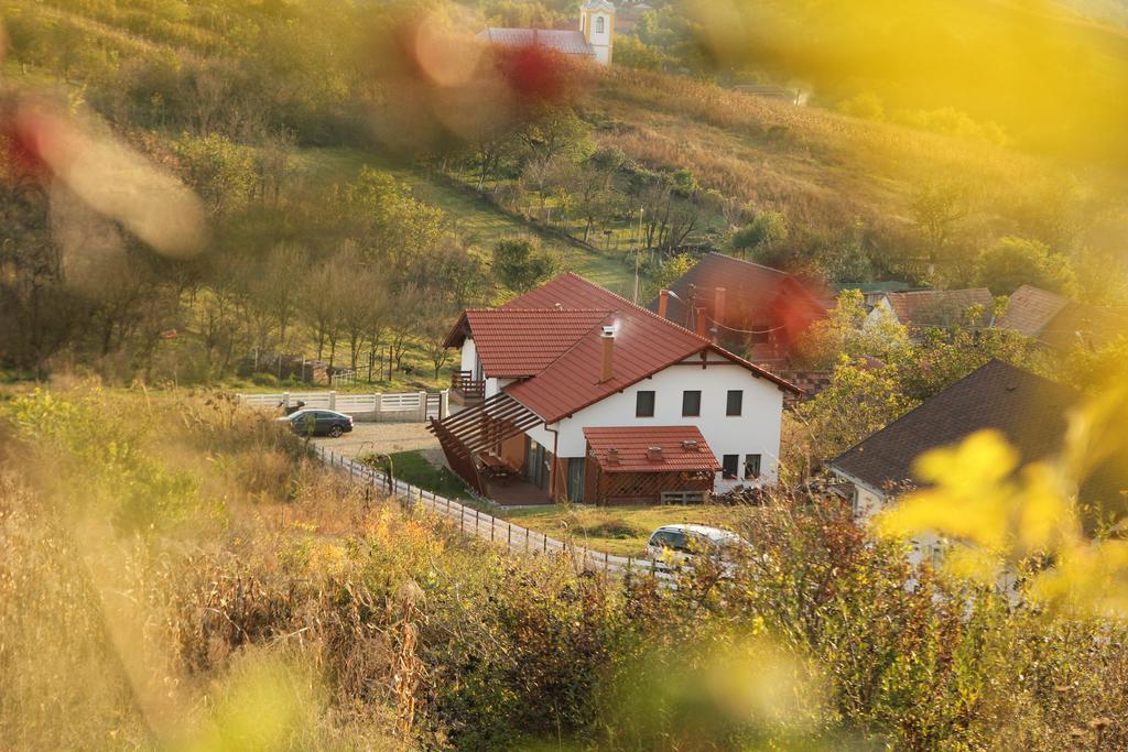 Pensiunea Casa Din VII Seusa Ngoại thất bức ảnh